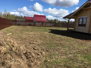 Светлана Ч.